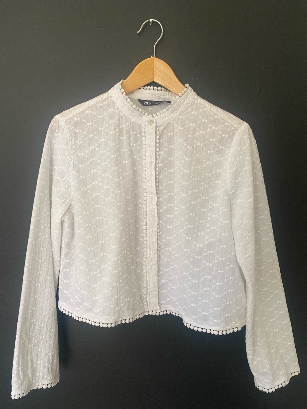 Zara White Feminine Band Collar Eyelet Embroidered Crop Button-Front Blouse